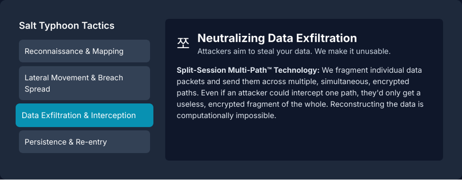 Neutralizing data exfiltration